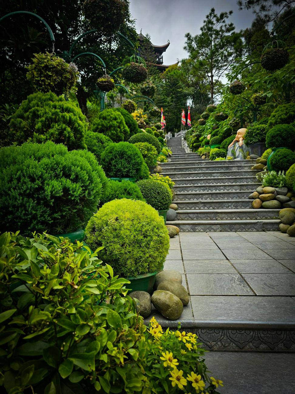 Rooftop garden