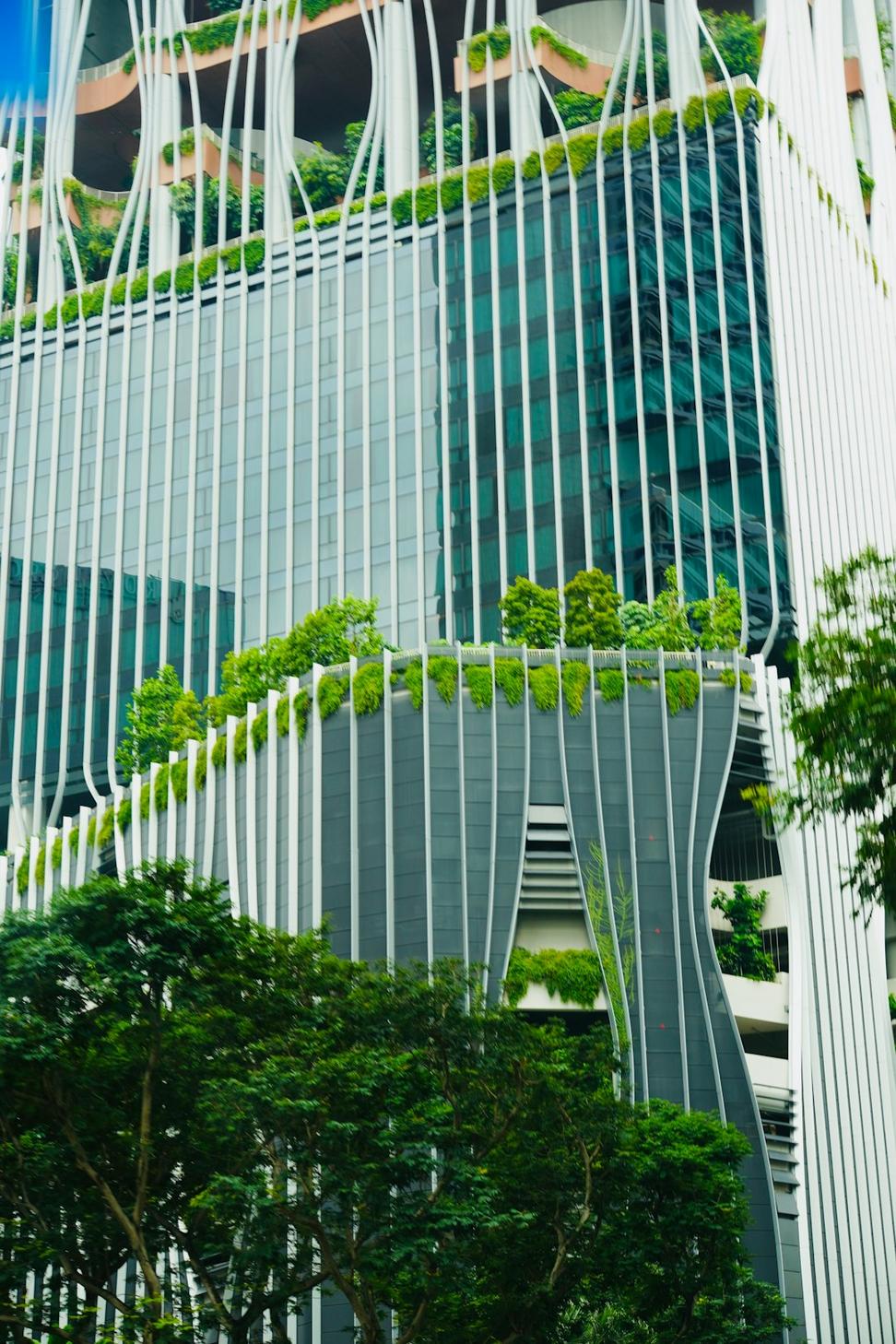Commercial project