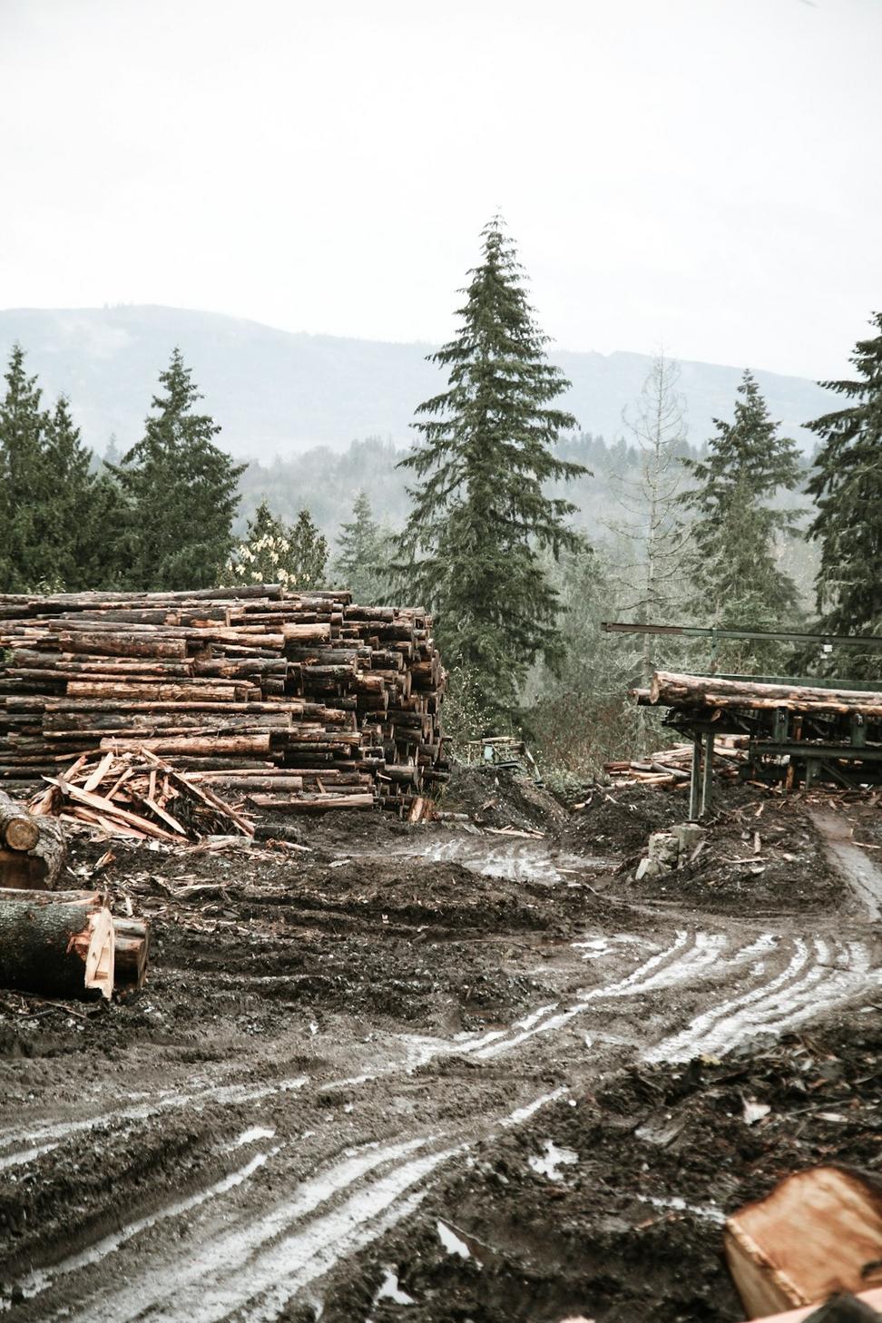 Innovation in Sustainable Design